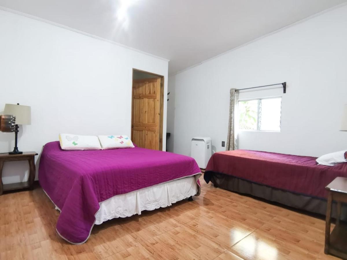 فندق Casita Happy Feet And Tours Corcovado Drakes Bay المظهر الخارجي الصورة
