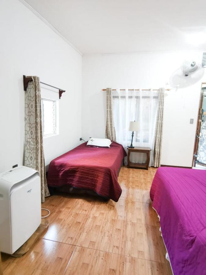 فندق Casita Happy Feet And Tours Corcovado Drakes Bay المظهر الخارجي الصورة